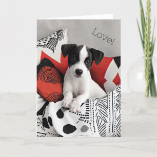 Jack Russell Puppy Valentine Card Dankeskarte