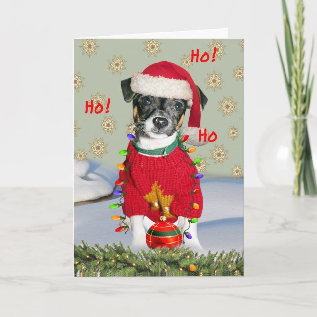 Jack Russell Rat Terrier Mix Frohe Weihnachten (Vorderseite)