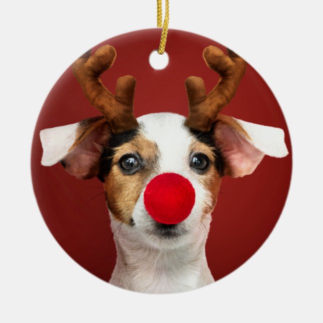 Jack Russell Rentier Keramik Ornament (Vorne)