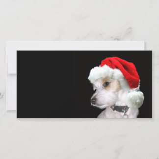 Jack Russell Santa Feiertagskarte