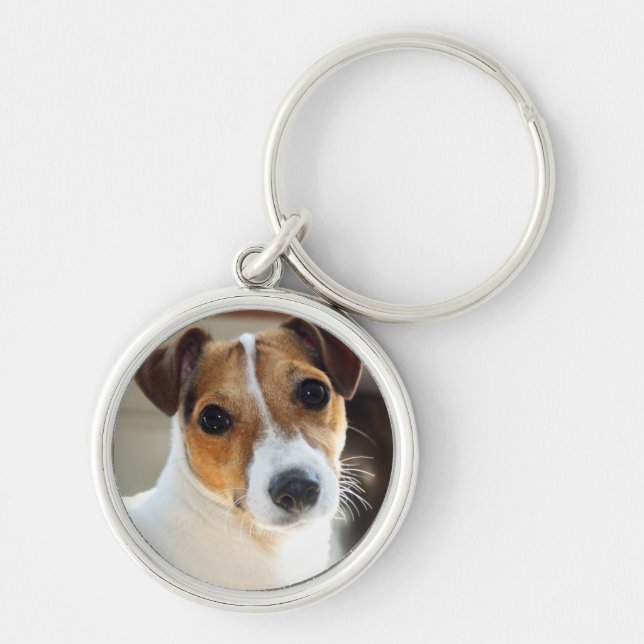 Jack-Russell-Schlüsselring Schlüsselanhänger (Vorne)