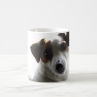Jack-Russell-Tasse