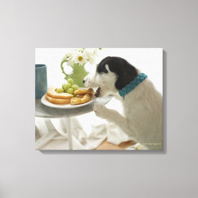 Jack russell Terrier. 4 Leinwanddruck (Vorderseite)