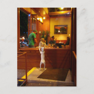 Jack Russell Terrier at restaurant window. Postkarte