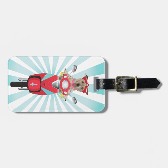 Jack-Russell-Terrier auf rotem Moped Gepäckanhänger (Vorderseite horizontal)