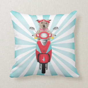 Jack-Russell-Terrier auf rotem Moped Kissen