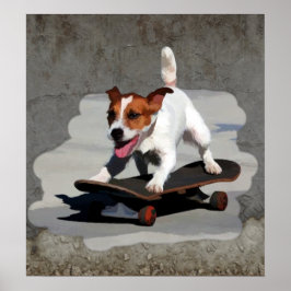 Jack Russell Terrier auf Skateboard Poster