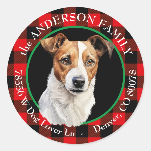 Jack Russell Terrier Buffalo Karierte Rücksendeadr Runder Aufkleber (Vorderseite)