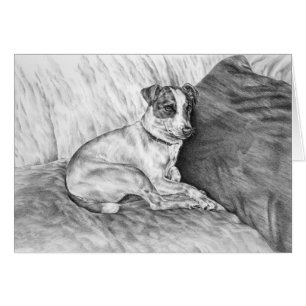 Jack Russell Terrier Chien Dessin de Kelli Swan