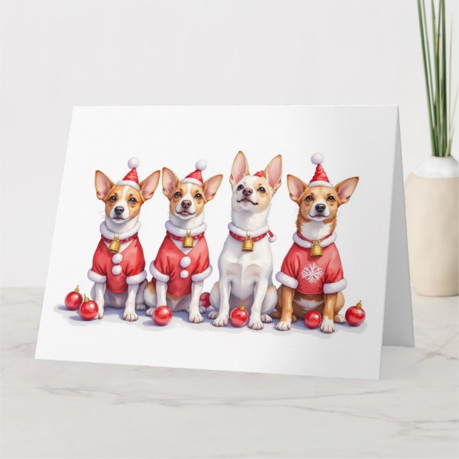 Jack Russell Terrier Christmas Dress Santa Hat Karte (Vorderseite)