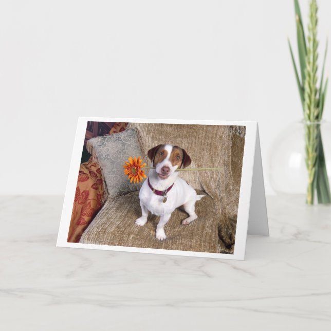Jack Russell Terrier Dankeschön-Karte Dankeskarte (Vorderseite)