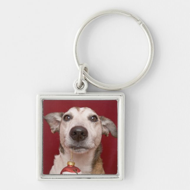 Jack-Russell-Terrier, der Weihnachtsverzierung Schlüsselanhänger (Vorne)