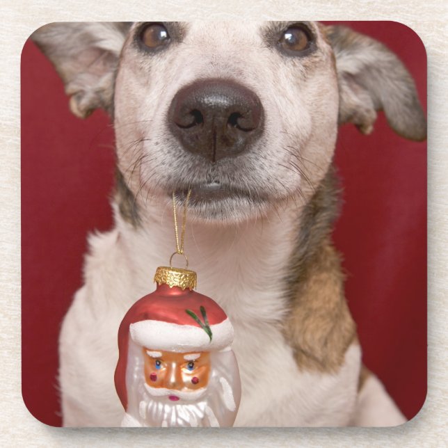 Jack-Russell-Terrier, der Weihnachtsverzierung Untersetzer (Vorderseite)