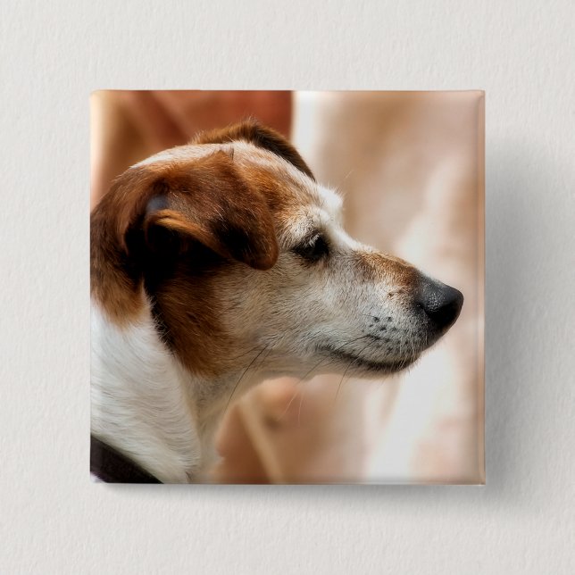 JACK RUSSELL TERRIER DOG BUTTON (Vorderseite)