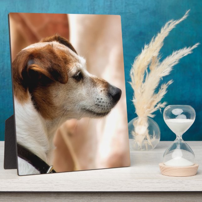 JACK RUSSELL TERRIER DOG FOTOPLATTE (Seite)