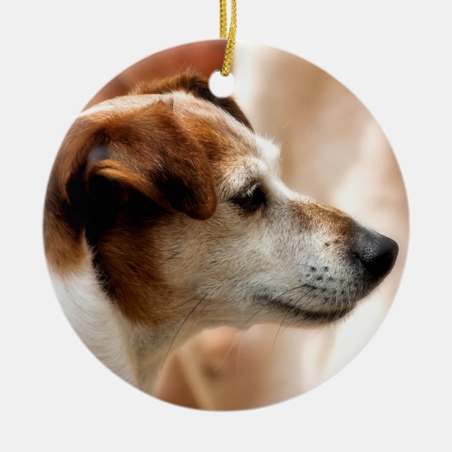JACK RUSSELL TERRIER DOG KERAMIK ORNAMENT (Vorne)