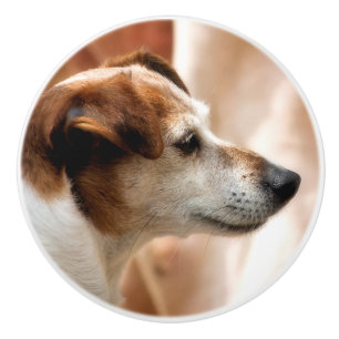 JACK RUSSELL TERRIER DOG KERAMIKKNAUF