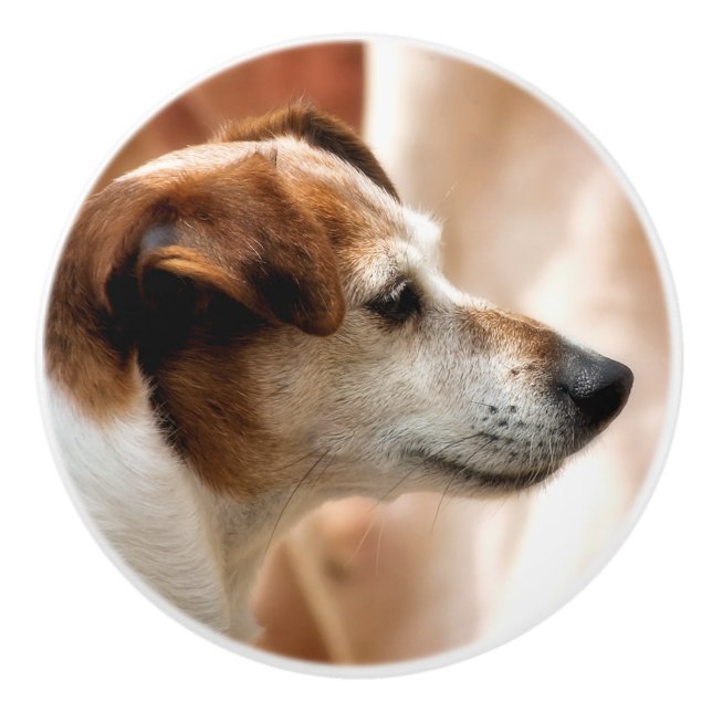 JACK RUSSELL TERRIER DOG KERAMIKKNAUF (Vorderseite)