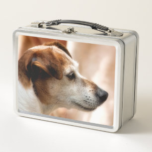 JACK RUSSELL TERRIER DOG METALL LUNCH BOX