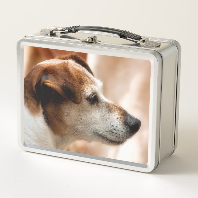 JACK RUSSELL TERRIER DOG METALL LUNCH BOX (Vorderseite)