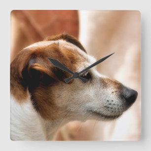 JACK RUSSELL TERRIER DOG QUADRATISCHE WANDUHR