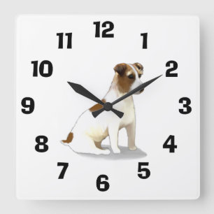 Jack Russell Terrier Dog Sitzen Quadratische Wanduhr