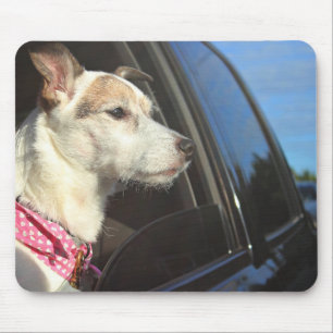 Jack-Russell-Terrier-Fahrt zum Strand Mousepad
