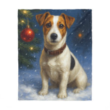 Jack Russell Terrier 