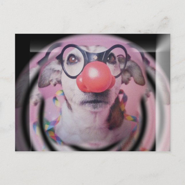 Jack Russell Terrier Happy Birthday Crazy Clown Postkarte (Vorderseite)