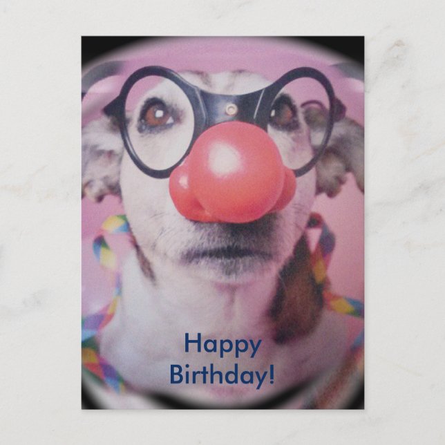 Jack Russell Terrier Happy Birthday Crazy Clown Postkarte (Vorderseite)