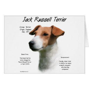 Jack Russell Terrier Histoire