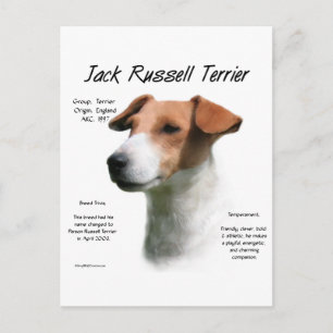 Jack Russell Terrier History Postkarte