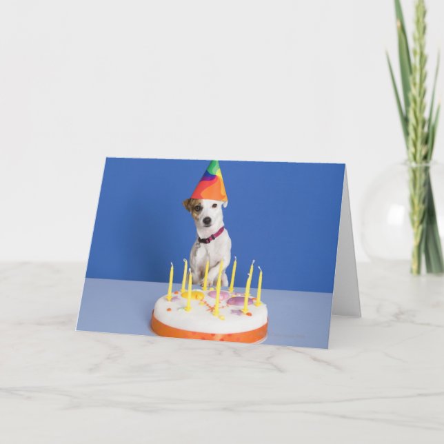 Jack Russell Terrier Hund mit Party-Hut Karte (Vorderseite)