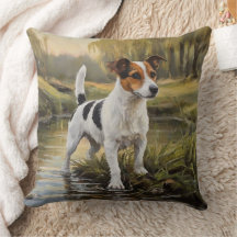 Jack Russell Terrier