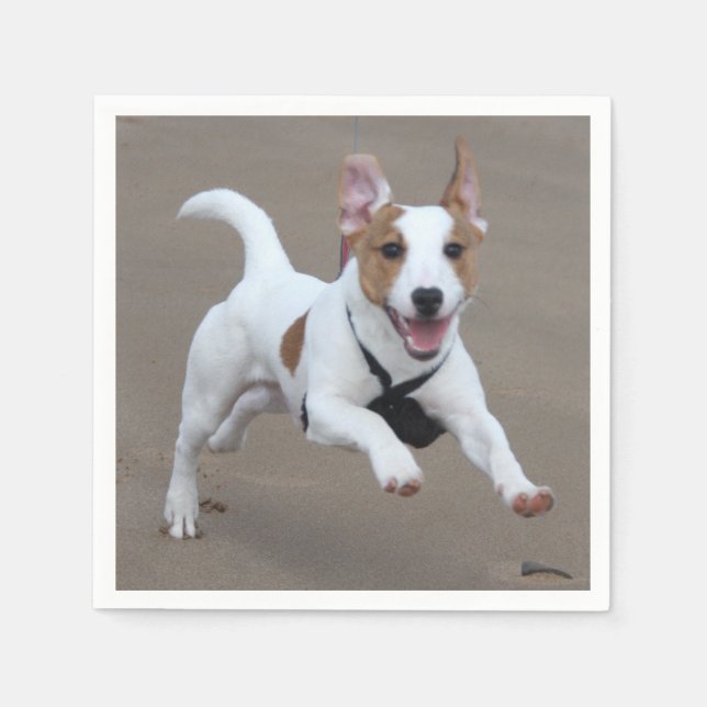 Jack_Russell Terrier läuft 2.png Serviette (Vorderseite)