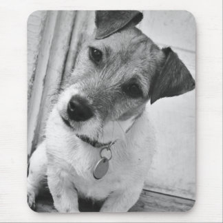 Jack-Russell-Terrier Mousepad