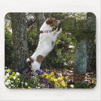 JACK-RUSSELL-TERRIER MOUSEPAD