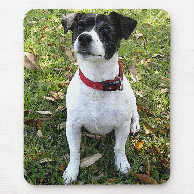 JACK-RUSSELL-TERRIER MOUSEPAD (Vorne)