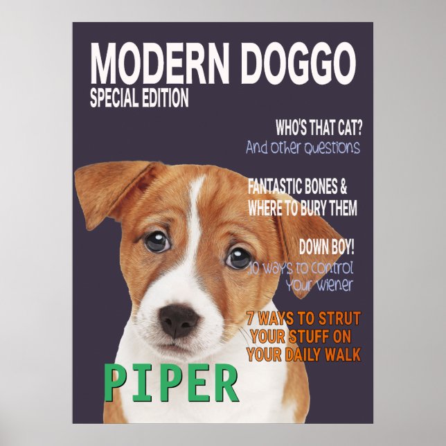 Jack Russell Terrier Parody Magazine Cover Poster (Vorne)