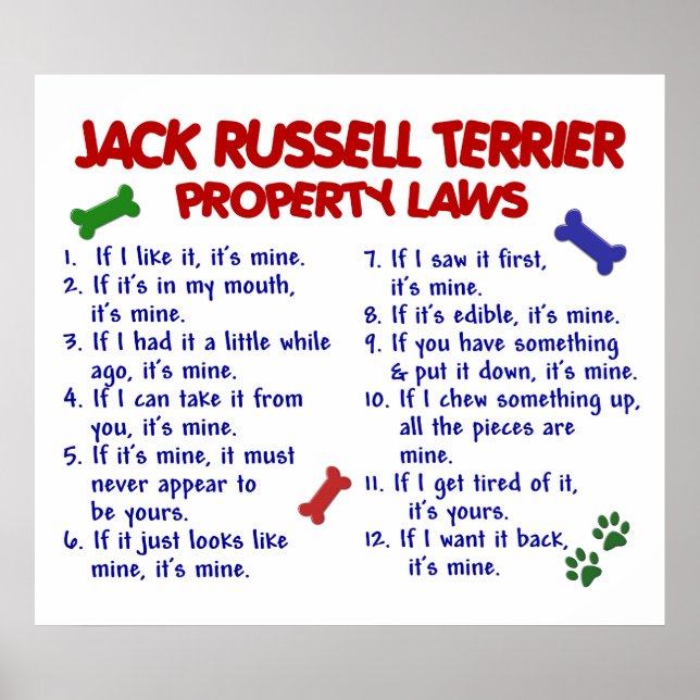JACK RUSSELL TERRIER PL2 POSTER (Vorne)