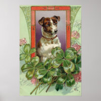Jack Russell Terrier
