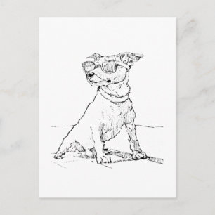Jack Russell Terrier  Postkarte