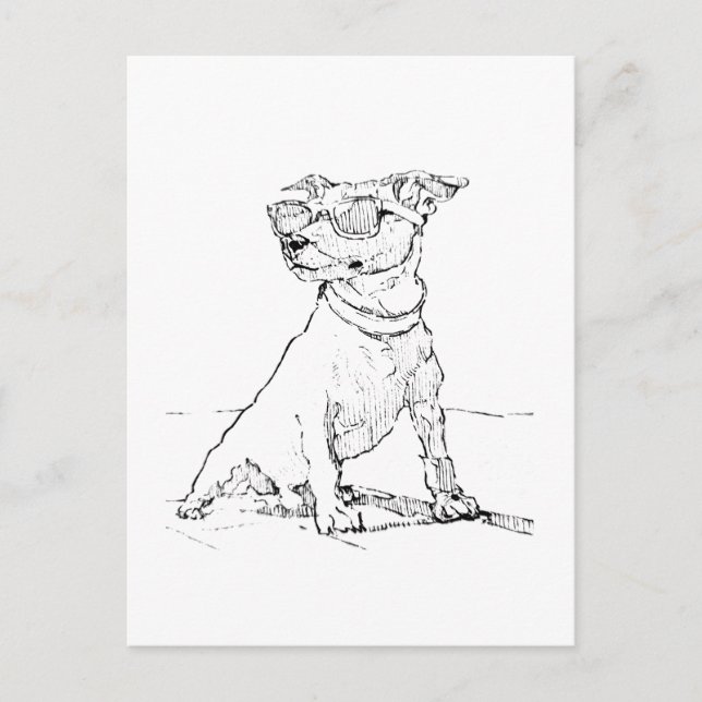 Jack Russell Terrier  Postkarte (Vorderseite)