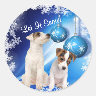 Jack Russell Terrier Puppy lässt es Sticker schnei