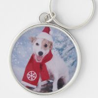 Jack-Russell-Terrier - Sankt Helfer