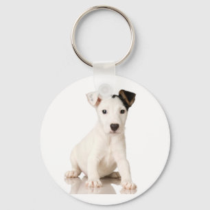 Jack-Russell-Terrier-Schlüsselanhänger Schlüsselanhänger
