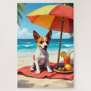 Jack Russell Terrier Strand Szene