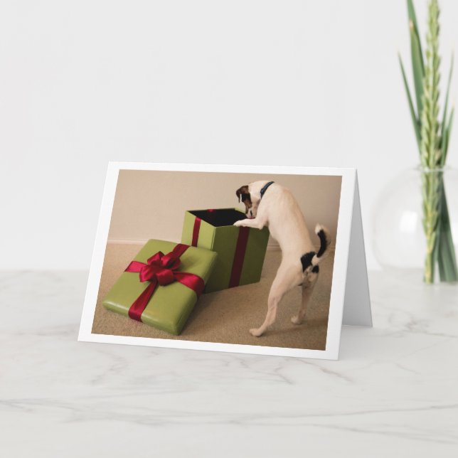 Jack-Russell-Terrier-Weihnachtskarte Feiertagskarte (Vorderseite)
