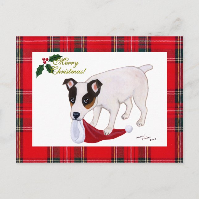 Jack-Russell-Terrier-WeihnachtsTartan Feiertagspostkarte (Vorderseite)