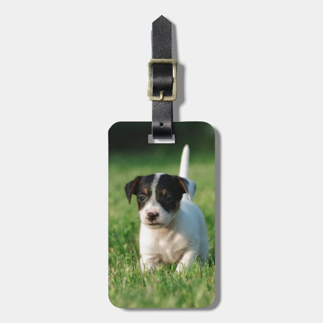 Jack Russell Terrier Welpe Gepäckanhänger (Vorderseite vertikal)